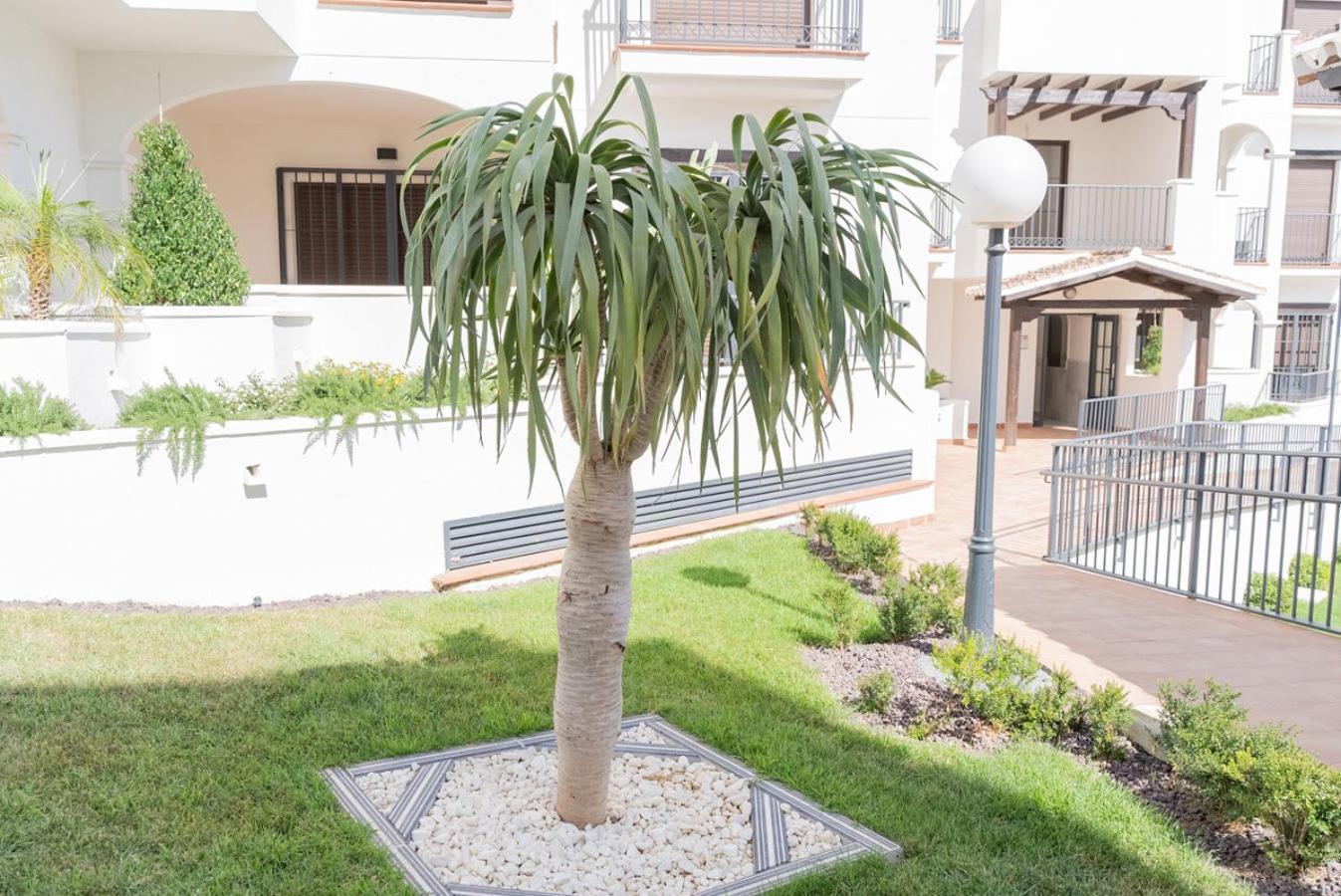 Todimer New Pueblo Mediteraneo Itrabo Eksteriør billede